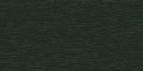 REH 21